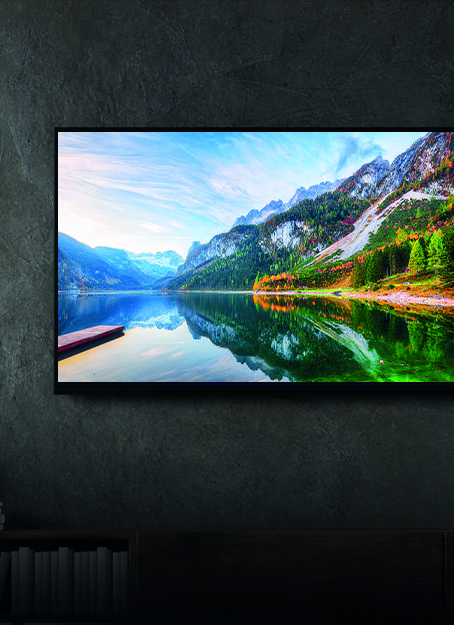 Basic LED TV