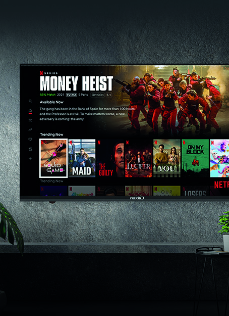 Linux系統智能電視-Netflix界面