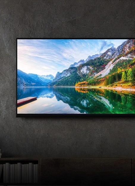 Basic LED TV